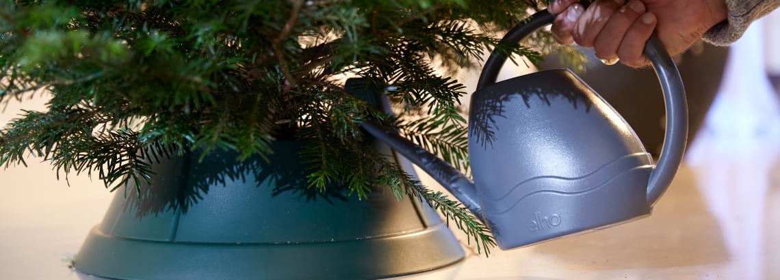 Kerstboom verzorgen - Welkoop